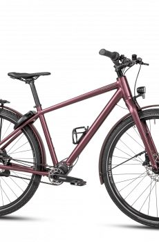 Maxx Crossmaxx Pinion Tour - Baukasten!